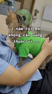 Ecopets Chà Bông Beta Amin 10gr Tăng Đề Kháng Bảo Vệ Sức Khoẻ Thức Ăn Cho Chó Mèo Gói 10g