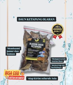 DAUN KETAPANG LAUT OLAHAN KEMASAN BESAR SUDAH DI OLAH PROSES FERMENTASI