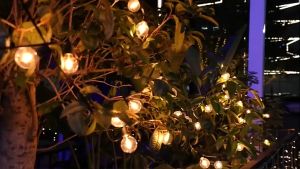 ไฟตกแต่งกลางแจ้ง ไฟสวน หลอดไฟกลางแจ้ง LEDไฟตกแต่งกลางแจ้ง ไฟสตริง ชุดไฟปิงปอง ไฟสวน กันน้ำ G40 220v 3m/7.5m/15m/30m