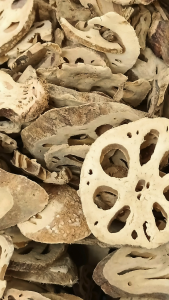 莲藕干 脱水藕干 100g Dried Lotus root