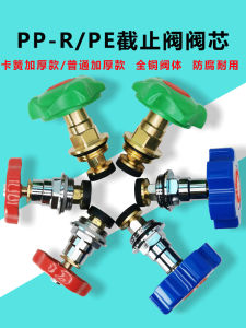 Thickened Full Copper Core PPR PE Check Valve Water Pipe Material 46 Split Gate Valve Faucet Accessories Rotating Thread Connection