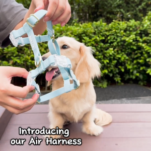 Ona & Co Air Harness  - Baby Blue - Soft Lavender - Easy to wear - Dog & Cat harness