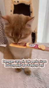 Cat Strip Feeder Portable Squeeze Feeder for Wet Food Snacks Cat Kitten Snack Scoop No Need To Worry about Getting Your Hands Dirty