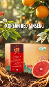 HANSAMGA Korean Red Ginseng Drink with Grapefruit | 10 Sticks (10g x 10) | Halal KMF | Made in Korea