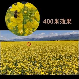 กล้องดูนก 50X60 กล้องส่องนก ระยะยาว 8000 เมตร ความละเอียดสูง กล้องมองกางคืน กล้องมองกลางคืน กล้องส่องทางไกล กล้องส่องกลางคืน กล้องส่องทา คอนเสิร์ต กล้องส่องสัตว์ กลางแจ้ง ราคา