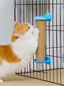 cakaran kucing/garukan kucing/ cakaran kucing Garukan kucing/cat scratcher