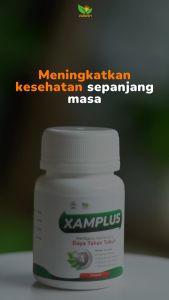 Xamplus Jamu untuk Daya Tahan Tubuh