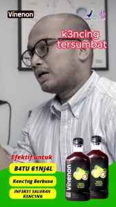 VINENON Paket 3 Botol - Bantu Hancurkan Batu Ginjal/Asam Urat isi 300 ml BPOM