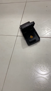 【Ship Today】3IN1 Set Mouse Rat Traps High Sensitive Snap Big Plastic Mouse Trap Rodent Catcher Reusable Rat Trap Mousetrap for Big Mouse COD Bestguard Live Rat Trap Rat Cage Rodent Trap Mouse Trap Live Rat Rodent Trap