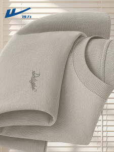 Grey Long Sleeve Cotton T-Shirt Mens Spring Autumn Style Basic Retro Base Shirt Casual Fashion Urban Loose Fit round Neck