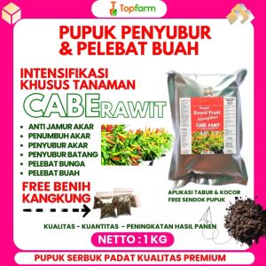 Pupuk Pelebat Buah Cabe Rawit / Pupuk Cabe Anti Keriting / Obat Pelebat Buah Cabe Rawit / Pupuk Buster Cabe Rawit / Obat Keriting Pada Daun Cabai