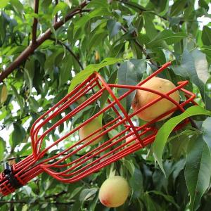 Alat Pemetik Buah Tinggi Alat Petik Buah Tongkat Alat Petik Pemetik Buah Serbaguna Tahan Lama Bahan Baja Untuk Mangga /Persik /Apel/Oranye Dll