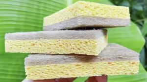 LMETJMA | LMETJMA Natural Kitchen Sponges Biodegradable Non-Scratch Cellulose Sponge with Coconut Scrubber Kitchen Cleaning Sponges