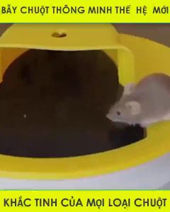 Bẫy chuột thông minh tự động hiệu quả Nắp bẫy chuột thông minh nắp trượt tự động bập bênh thùng nhựa