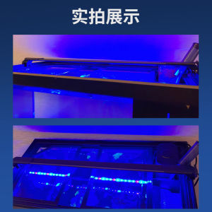 Ultra Blue Coral Light Sea Aquarium Water Supplement Light Special Growth Coloration Lamp for Small Fish Tank Lighting Equipment