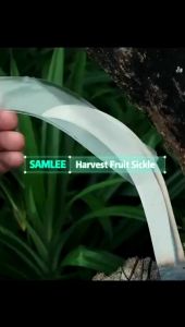 SAMLEE M2222 Heavy Duty Monkey King Durian Pole 2m/4m/6m H0701/H0702/H0703