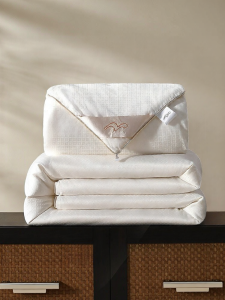 Mercury Bedding 100% Silk Bedding - A Class Antibacterial & Two-in-One Winter Warmth Bed Cover