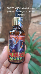 Power Murai juara lomba Vitamin Penggacor Burung
