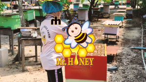 Pure Mature Honey - Mr Honey 250 ml glass bottle