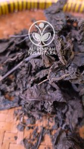 Daun Ungu Asli Kering 1kg Organik - Obat Herbal Wasir