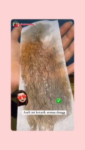 Waxlab Sugar Wax Pink Rose New Formula BPOM