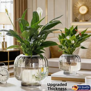 jeagutt | Creative Glass Vase for Hydroponics Plants