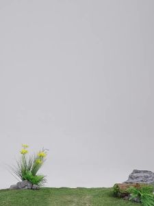 Erke | Antibacterial Breathable T-shirt