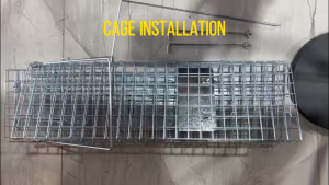 Cat Cage Cat Trap Foldable for Stray cat Rescue Safe and Humane Animal Trap for Stray Cats/Dogs Portable Carrier Crate