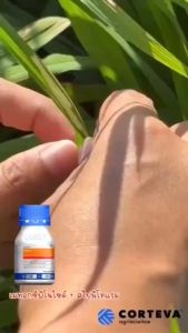 ริดอิท ยกลัง (250ml. x 24ขวด) กำจัดหนอนดื้อยา หนอนห่อใบ กระทู้ ดื้อยา (1 ขวด ใช้ได้ 4-6 ไร่)