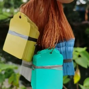 Combo 100 thẻ treo có dây nhiều màu đánh dấu cho cây cảnh hoa và cây ăn trái - kích thước 4.5 x 3 cm