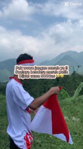 Bendera Merah Putih Kecil 80 x 51 (Isi 10PCS)