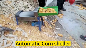 เครื่องปอกข้าวโพดไฟฟ้าอัตโนมัติ  เครื่องปอกข้าวโพดเชิงพาณิชย์   ZB-6CT-590