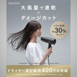 【DirectFrom Japan】SALONIA Speedy Ion Hair Dryer Gray/Black/Beige–Fast DryingIonic TechLightweight