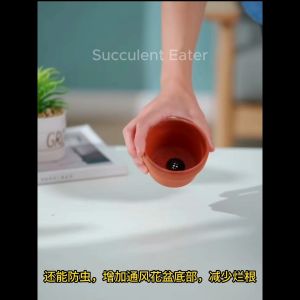 Anti-leakage Soil Stone Flower Plant Pot Hole Mesh Bottom Impermeable Grid Mat Mesh Pad Lubang Anti-kebocoran Tanah