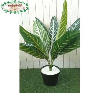Pohon Artificial Daun Aglonema Hijau Strip X12 Pot Dasar Hitam Pajangan Rumah Dekorasi Aesthetic
