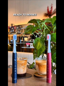 Pensonic Fresh Series Sonic Toothbrush ST1001RR (RED Colour)