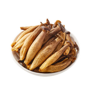 BIBIZAN | Bánh Kẹo Nấm Hươu Hương Vị Pepita Sẵn Ăn
