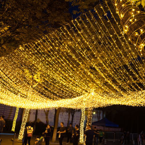 ไฟกระพริบ led 100 ดวง ไฟตกแต่ง led ไฟประดับ led ยาว 10m ไฟแต่งสวนกลางแจ้ง ไฟหิ่งห้อย ไฟหยดน้ำ ไฟปีใหม่ ไฟคริสมาสต์ พร้อมส่ง