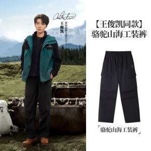 Mens Workwear Pants Autumn Winter Waterproof Multi-Pocket Paratrooper Style Casual Trousers Loose Fit Polyester Lycra