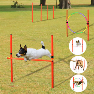 Outdoor Dog Obstacle Training Set: A Comprehensive Guide