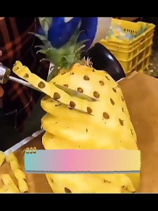 Pineapple Peeler with Wooden Handle Stainless Steel Pineapple Seed Remover Pineapple Eye Peeler