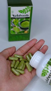 Keloreena Ekstrak Daun Kelor Asli Moringa Oleifera Isi 50 & 100 Kapsul