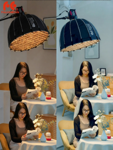 Falcon Eyes | Professional Live Streaming & Photography Soft Light Lamp 200W