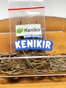 Benih Kenikir Sayur Unggulan berkualitas biji bibit hydroponik hidroponik sayuran tanaman kenikiran cosmos