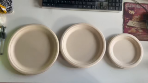 【Hot 】50PCS Disposable Paper Plates Sugar Cane Pulp Thick Disposable Round Paper Plates Microwave Safe Anti-Seepage Oil-resistant and Scratch Resistant Good for Different Event Like Weddings Parties Birthdays Picnics Disposable Paper Plates