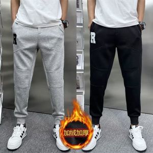 Quần Thể Thao Nam Ống Đứng Lót Lông Cừu Thời Trang Thu Đông Quần Dài Cotton Polyester Kháng Khuẩn Cạp Vừa Dài Thường Ngày