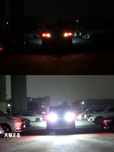 T15 LED Flashing Reverse Light 24SMD 3030 Canbus Super Bright Backup Bulb 12V Error Free