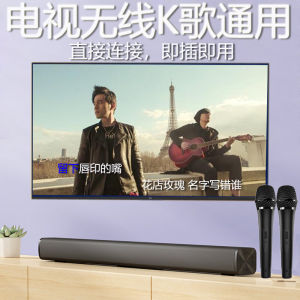 Home KTV Wireless Microphone Set Projector Singing Equipment Kit Karaoke Bluetooth Mic Family Use TV Audio Video Appliances