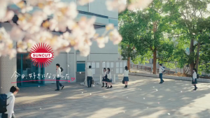 Kose Cosmeport Suncut Tone Up UV Essence SPF50+ PA++++ Mint green / Lemon Yellow / Rose Pink / Lavender 80g Sunscreen Sun Cut