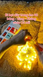(Cắm Điện) Dây Đèn Led Cherry Ball Bi Bọt Bóng Pha Lê Có Phích Nối Dài Dây Trang Trí Tiệc Noel Lễ Tết